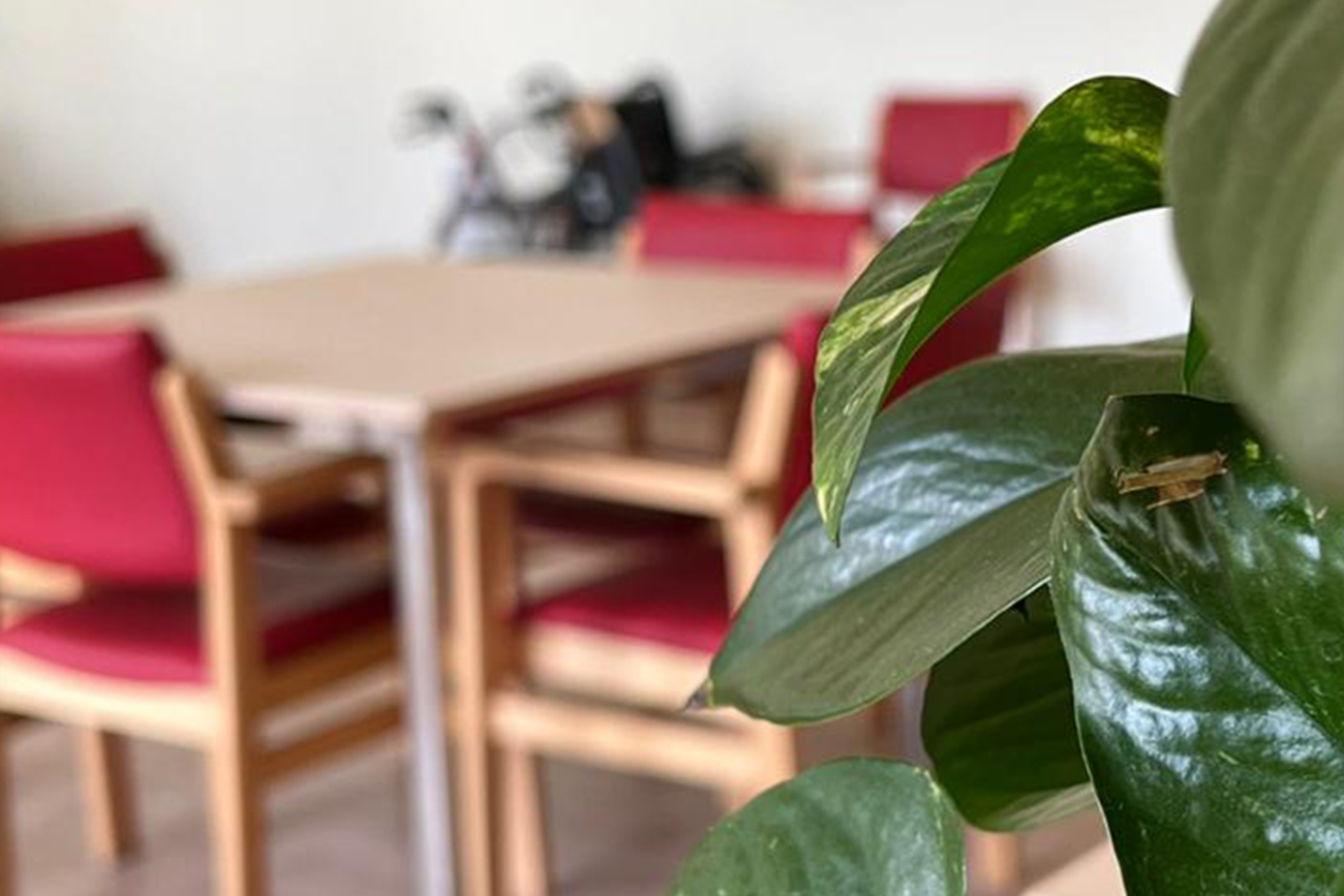 La importància de les visites de familiars a la residència Sagrat Cor de Banyoles