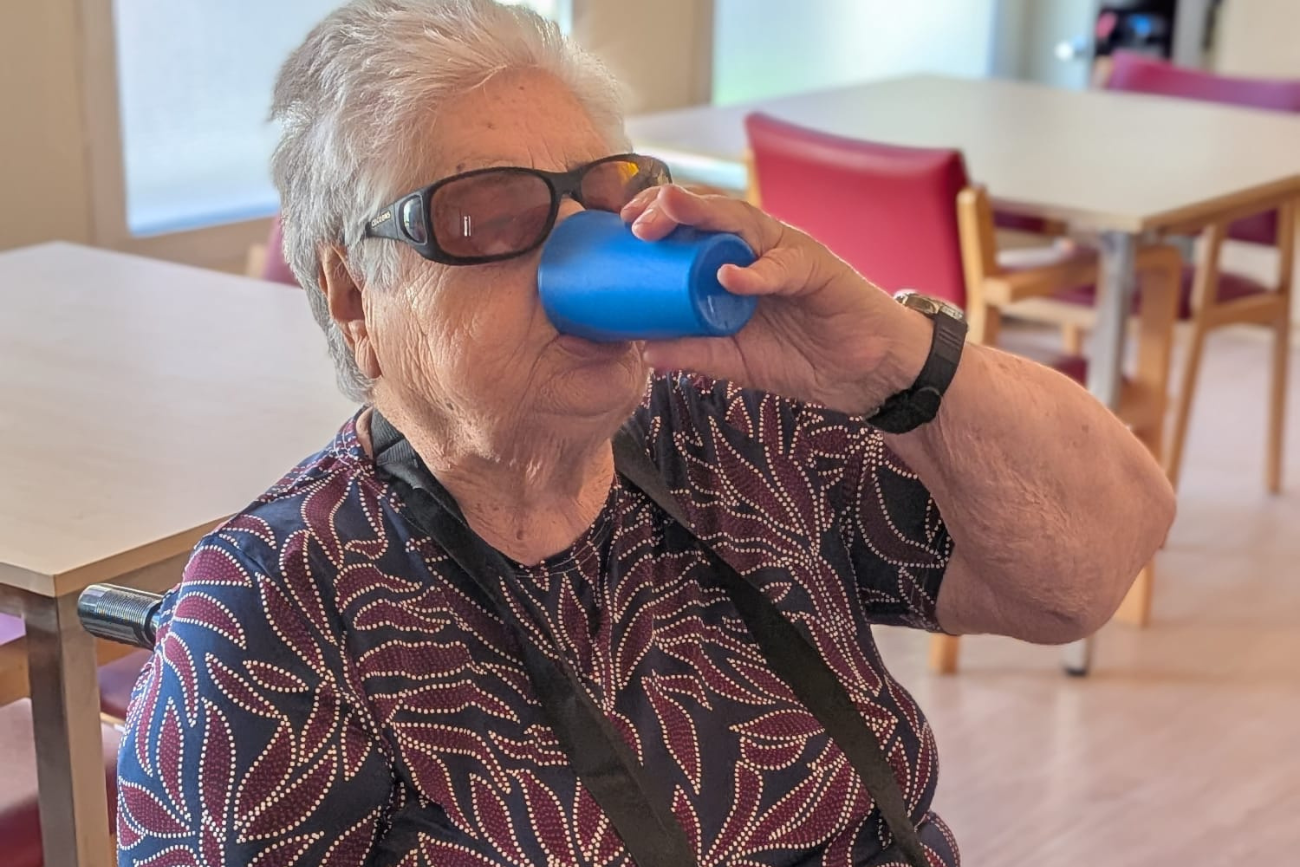 Símptomes d'un cop de calor en les persones grans