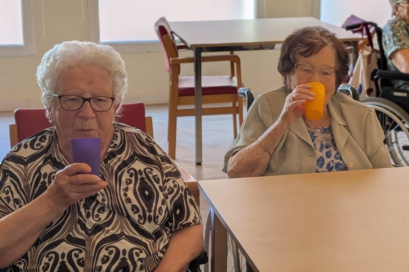 Símptomes d'un cop de calor en les persones grans
