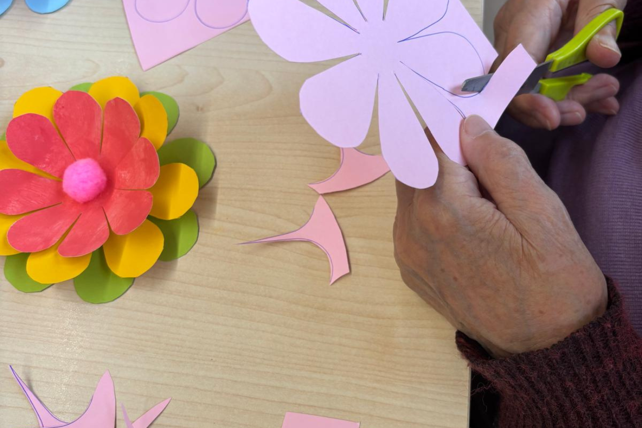 activitats per a gent gran